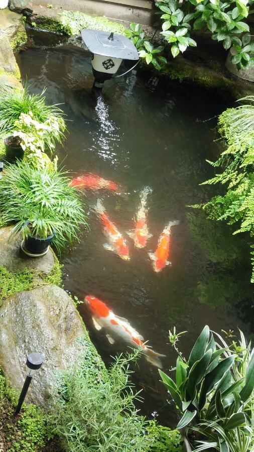 Walking Pilgrimage Hotel Tokiwa Ryokan Ozu  Екстериор снимка